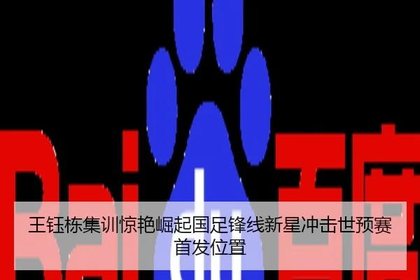 王钰栋集训惊艳崛起国足锋线新星冲击世预赛首发位置