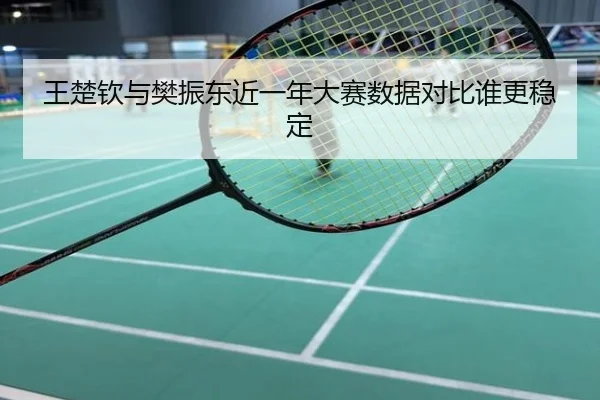 王楚钦与樊振东近一年大赛数据对比谁更稳定