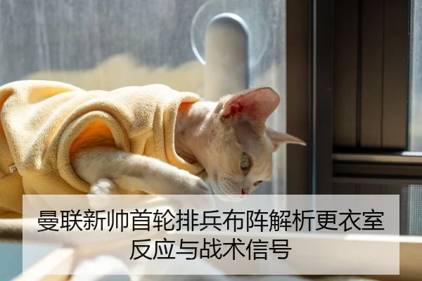 曼联新帅首轮排兵布阵解析更衣室反应与战术信号